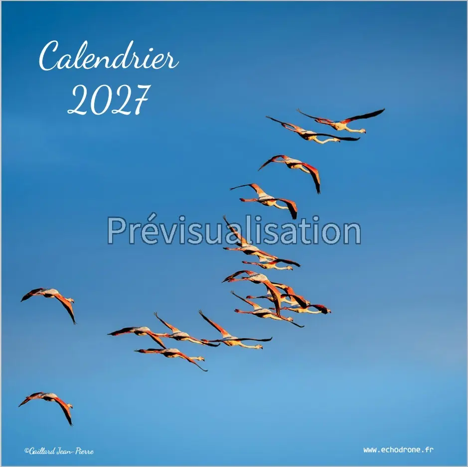 Le calendrier qui vous observe — Version bureau Couverture du calendrier de bureau 2027 avec un vol de flamants roses sur fond bleu